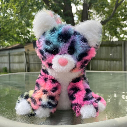 Kitty Palm Size Plush